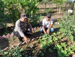 Dukung Ketahanan Pangan Nasional, Bhabinkamtibmas Kelurahan Brang Biji Sambangi Petani dan Ajak Manfaatkan Pekarangan