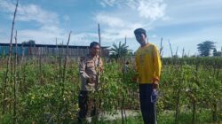 BHABINKAMTIBMAS DESA SUKA DAMAI SAMBANG WARGA, DORONG PEMANFAATAN LAHAN PEKARANGAN UNTUK KETAHANAN PANGAN
