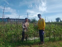 BHABINKAMTIBMAS DESA SUKA DAMAI SAMBANG WARGA, DORONG PEMANFAATAN LAHAN PEKARANGAN UNTUK KETAHANAN PANGAN