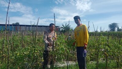 BHABINKAMTIBMAS DESA SUKA DAMAI SAMBANG WARGA, DORONG PEMANFAATAN LAHAN PEKARANGAN UNTUK KETAHANAN PANGAN