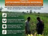 ANGGOTA POLSEK GRABAGAN SAMBANG DESA BINAAN, PANTAU LAHAN JAGUNG DAN MEMASTIKAN SISTEM IRIGASI MASIH LANCAR