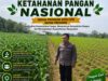 Polri Dukung Astacita, Polsek Merakurak Polres Tuban Turun Cek Tanaman Jagung Warga di Desa Tuwiri Wetan