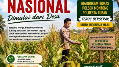 Polsek Montong Polresta Tuban Turun Cek Tanaman jagung Warga di Desa Pakel