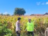Dukung Ketahanan Pangan Nasional, Bhabinkamtibmas Desa Suka Mulya Sambangi Petani dan Dorong Persiapan Tanam Jagung