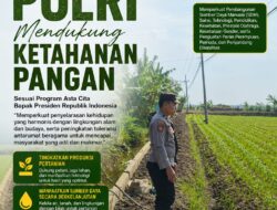 Polri Dukung Astacita, Polsek Merakurak Polres Tuban Turun Cek Tanaman Jagung Warga di Desa Tuwiri Wetan