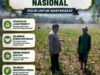 Bhabinkamtibmas pantau pertumbuhan jagung di Desa Binaan, dukung Ketahanan Pangan.