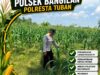 POLSEK BANGILAN DUKUNG KETAHANAN PANGAN MELALUI MONITORING TANAMAN JAGUNG