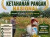 BRIPDA SHANDY MONITORING PANEN JAGUNG DI BANCAR, DUKUNG KETAHANAN PANGAN