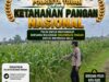 Polsek Soko Polresta Tuban Turun Langsung Cek Tanaman Jagung Warga