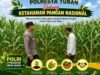 Dukung Asta Cita, Polsek Jatirogo Turun Langsung Pantau Ladang Jagung Warga Desa Jatiklabang