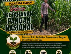 Polsek Singgahan Polresta Tuban Turun Cek Tanaman jagung Warga di Desa Mulyorejo