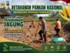 Polsek Montong Polresta Tuban Turun Cek Tanaman jagung Warga di Desa Pakel