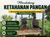 Polsek Tuban Dukung Ketahanan Pangan, Bhabinkamtibmas Sambangi Petani di Lahan Jagung