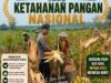 Dukung Ketahanan Pangan Nasional, Bripda Shandy Polsek Bancar Monitoring Panen Jagung di Latsari