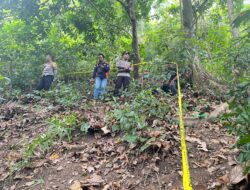 Polisi Selidiki Penemuan Mayat Misterius di Perbukitan Pemenang, Diperkirakan Meninggal Lebih dari Sepekan