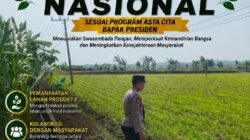 Polri Dukung Astacita, Polsek Merakurak Polres Tuban Turun Cek Tanaman Jagung Warga di Desa Tuwiri Wetan