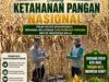 Dukung Program Ketahanan Pangan Nasional, Anggota Polsek Bancar Turun Ke Lahan Panen Jagung Bersama Warga Cingklung