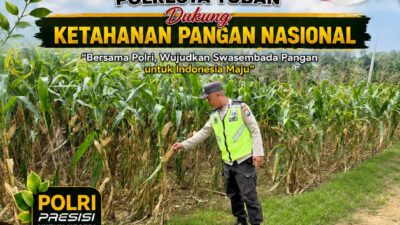 MONITORING KETAHANAN PANGAN TANAMAN JAGUNG