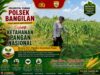 POLSEK BANGILAN DUKUNG KETAHANAN PANGAN, WUJUDKAN SWASEMBADA PANGAN DI WILAYAH