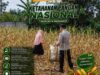Polri Dukung Astacita, Polsek Semanding Polresta Tuban Turun Cek Tanaman jagung milik Warga di Desa Jadi