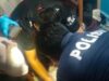 Polsek Ambalawi Olah TKP Peristiwa Gantung Diri di Desa Nipa