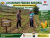 Polsek Montong Polresta Tuban Turun Cek Tanaman jagung Warga di Desa Bringin