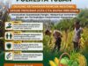 ANGGOTA POLSEK GRABAGAN SAMBANG DESA BINAAN, PANTAU LAHAN JAGUNG DAN MEMASTIKAN SISTEM IRIGASI MASIH LANCAR