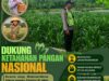 Polri Dukung Astacita, Polsek Rengel Polresta Tuban Turun Cek Tanaman Jagung Warga di Desa Sawahan
