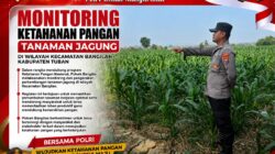 Monitoring Ketahanan Pangan Tanaman Jagung di Wilayah Bangilan