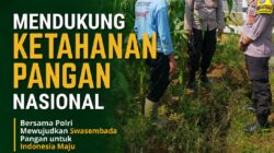 Polsek Tuban Dukung Ketahanan Pangan Nasional melalui Pendampingan Petani
