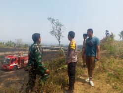 Kebakaran Kebun di Bukit Korea Berhasil Dipadamkan Sinergi Lintas Sektor