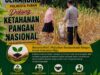 Polri Dukung Astacita, Polsek Semanding Polresta Tuban Turun Cek Tanaman jagung milik Warga di Desa Jadi