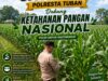 Polri dukung progam Astacita, Polsek Jatirogo Polresta Tuban Turun Cek Tanaman jagung Warga di Desa Sidomulyo