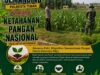 Polri Dukung Astacita, Polsek Semanding Polresta Tuban Turun Cek Tanaman jagung milik Warga di Kel. Karang