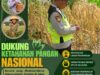 Polri Dukung Astacita, Polsek Rengel Polresta Tuban Turun Cek Tanaman Jagung Warga di Desa Sawahan