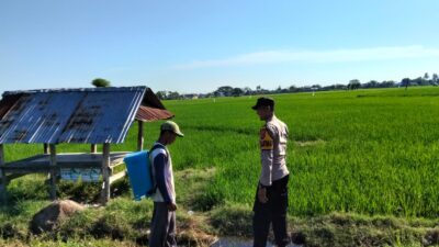 Dukung Ketahanan Pangan Nasional, Bhabinkamtibmas Desa Motong Sambangi Petani Padi dan Dorong Pemanfaatan Pekarangan