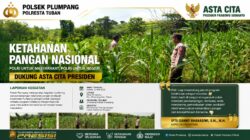 Polri Dukung Astacita, Polsek Rengel Polresta Tuban Turun Cek Tanaman Jagung Warga di Desa Sawahan