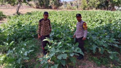 Bhabinkamtibmas Desa Tekasire Dorong Warga Manfaatkan Lahan untuk Ketahanan Pangan dan Cegah Karhutla