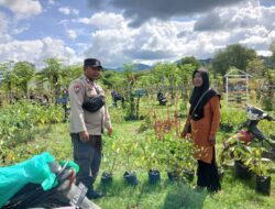 Dukung Ketahanan Pangan Desa, Bhabinkamtibmas Desa Marga Karya Sambangi Warga Pengelola Pekarangan Bergizi