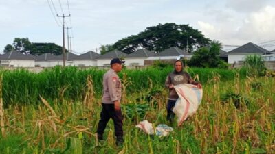 Dukung Ketahanan Pangan Nasional, Polsek Labuapi Dampingi Petani Lokal di Desa Karang Bongkot