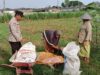 Dukung Ketahanan Pangan Nasional, Polsek Labuapi Turun Langsung Mendampingi Petani Karang Bongkot