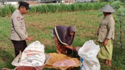 Perkuat Ekonomi Desa, Langkah Nyata Polsek Labuapi Dampingi Kelompok Tani di Karang Bongkot