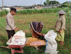 Dukung Ketahanan Pangan Nasional, Polsek Labuapi Turun Langsung Mendampingi Petani Karang Bongkot
