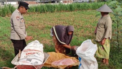 Perkuat Ekonomi Desa, Langkah Nyata Polsek Labuapi Dampingi Kelompok Tani di Karang Bongkot