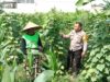 Dukung Swasembada Pangan, Polsek Labuapi Dampingi Petani Optimalkan Lahan di Lombok Barat