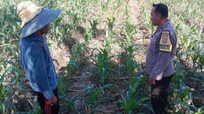 Sinergi Polri dan Petani di Lombok Barat: Langkah Polsek Labuapi Perkuat Ekonomi Desa