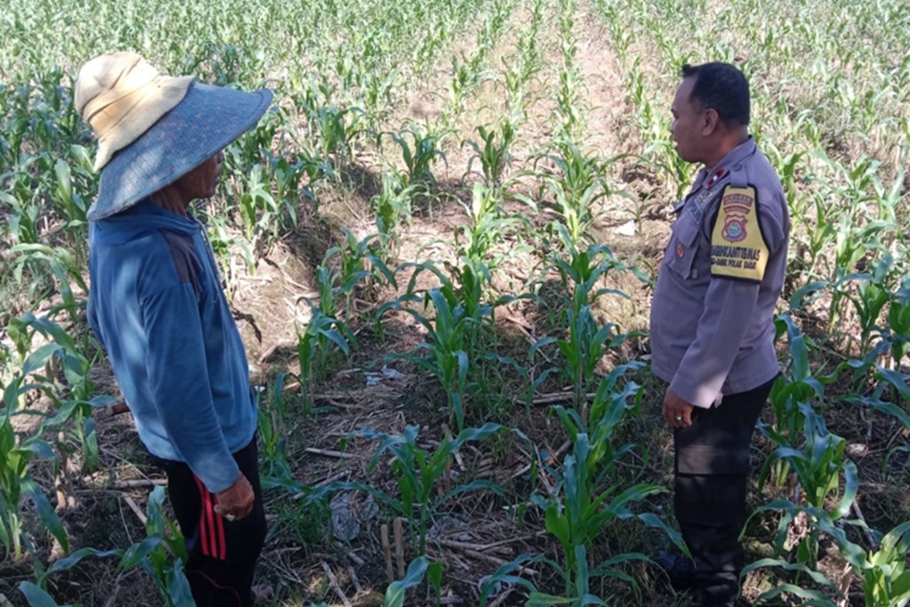 Sinergi Polri dan Petani di Lombok Barat: Langkah Polsek Labuapi Perkuat Ekonomi Desa