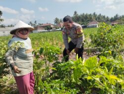 Bhabinkamtibmas Pringgabaya Sambangi Petani, Ingatkan Kamtibmas dan Bahaya Karhutla