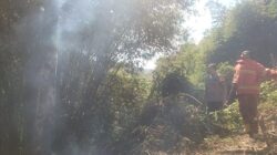 Cegah Api Meluas, Bhabinkamtibmas Kodo Bersama Damkar Padamkan Kebakaran Lahan Warga