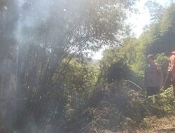Cegah Api Meluas, Bhabinkamtibmas Kodo Bersama Damkar Padamkan Kebakaran Lahan Warga